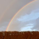 New End The Data Blog