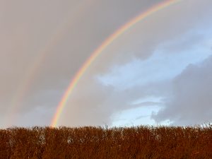 New End The Data Blog