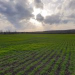 Flyford Flavell - The Data Blog