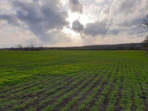 Flyford Flavell - The Data Blog